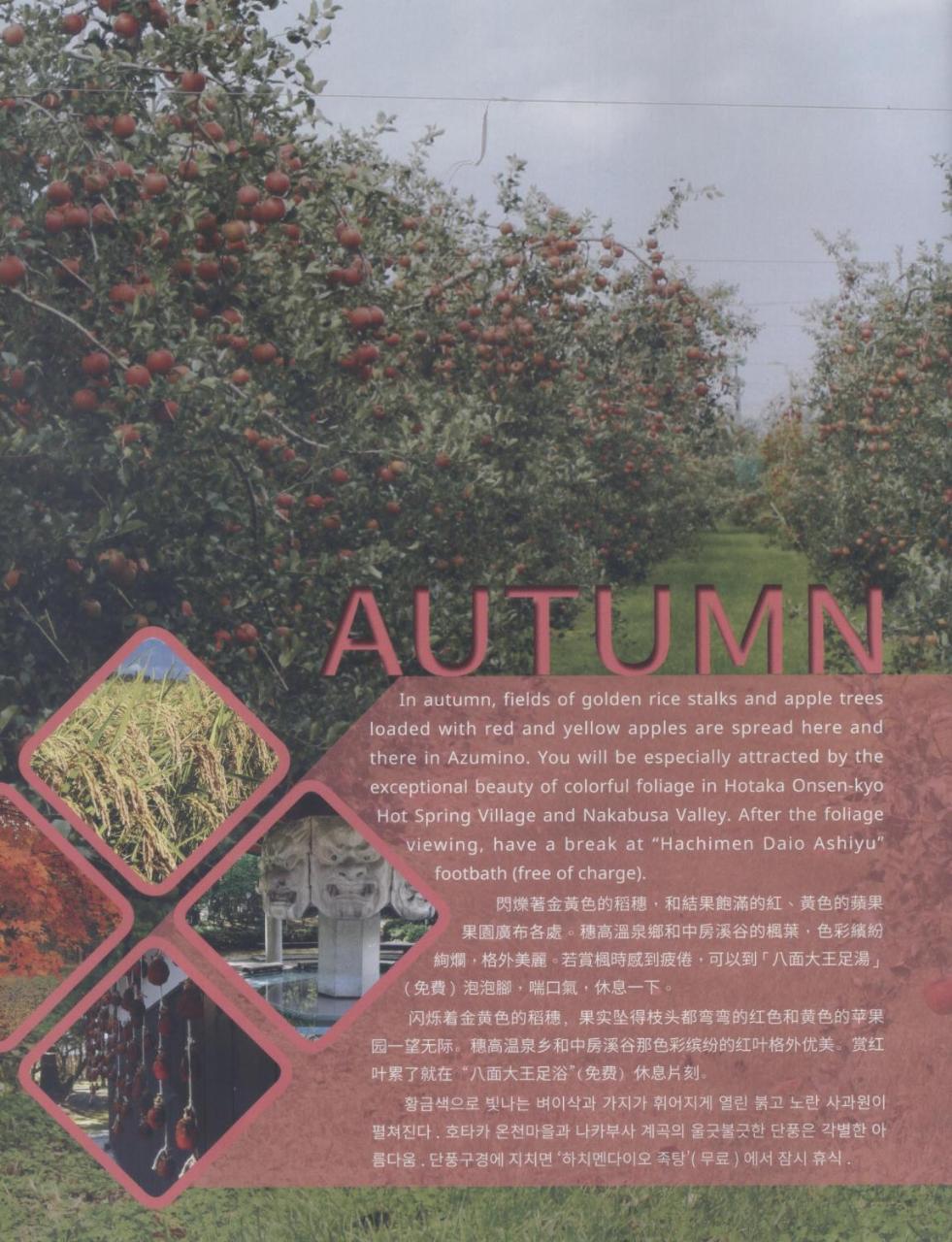 Shino'S Farm Inn Azumino Kültér fotó